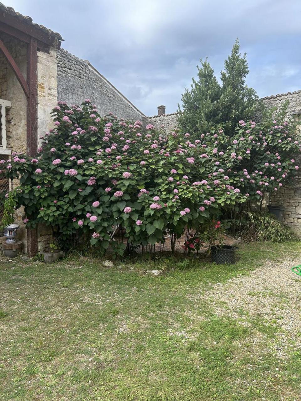 Chambres Et Table D'Hotes Maison Garesche Nieulle-sur-Seudre Buitenkant foto